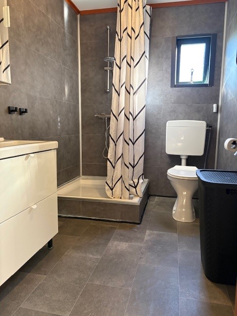 Vernieuwde badkamer met douche en toilet